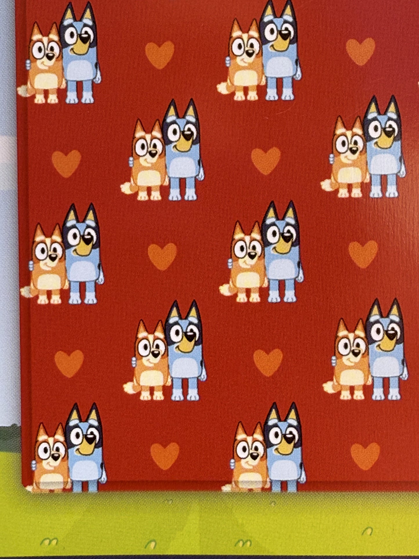 Blue Valentines Plush Blanket